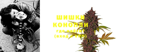 индика Беломорск