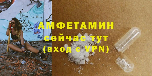 индика Беломорск