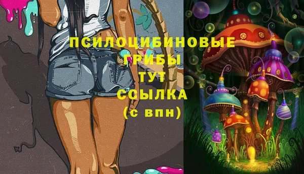 индика Беломорск